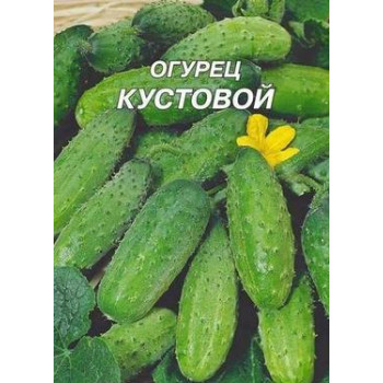 Семена,огурец Кустовой