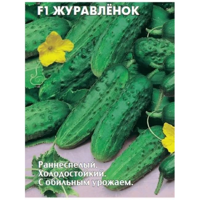 Семена,огурец Журавленок F1
