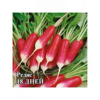 Семена,редис 18 дней