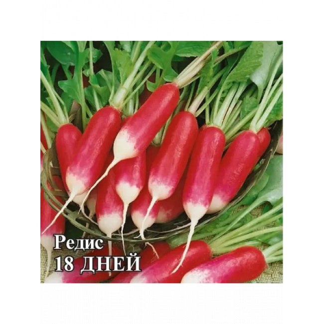 Семена,редис 18 дней