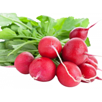 Семена,редис Жара